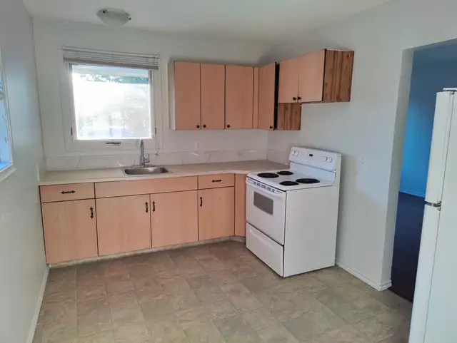 4 Bed, 2 Bath Cumberland Ave House for Rent - Available June 1, - Photo 6