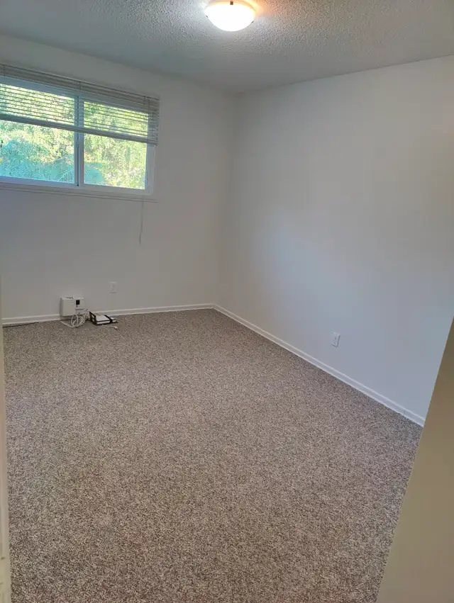 4 Bed, 2 Bath Cumberland Ave House for Rent - Available June 1, - Photo 10