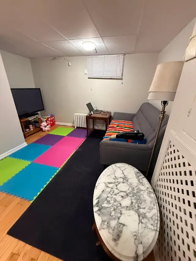 Live on the Glebe avenues - July 1 - 2 bed bsmt - Photo 4