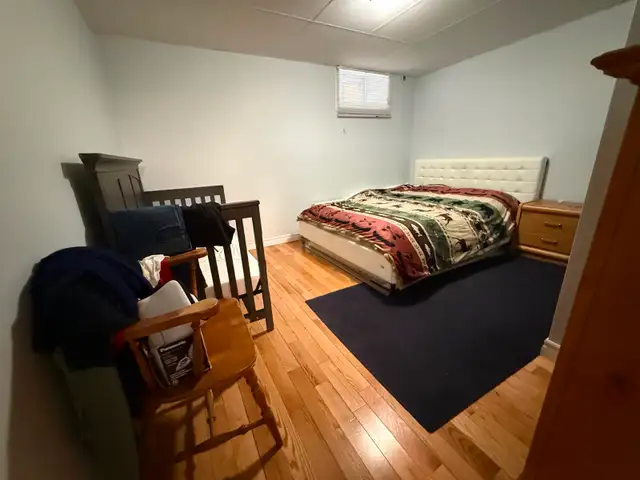 Live on the Glebe avenues - July 1 - 2 bed bsmt - Photo 5