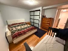Live on the Glebe avenues - July 1 - 2 bed bsmt - Photo 6