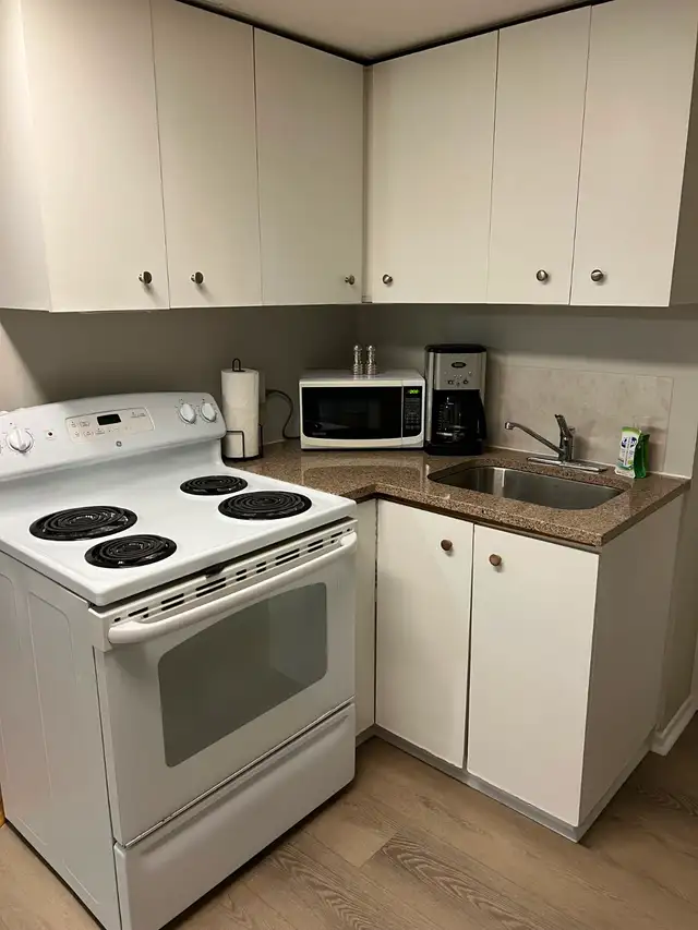 Live on the Glebe avenues - July 1 - 2 bed bsmt - Photo 8