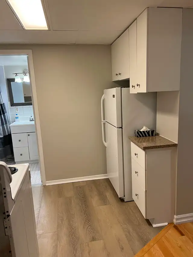 Live on the Glebe avenues - July 1 - 2 bed bsmt - Photo 9