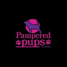 Pet Groomer Job
