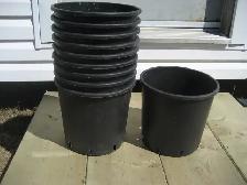 Black plastic plant pots / planters