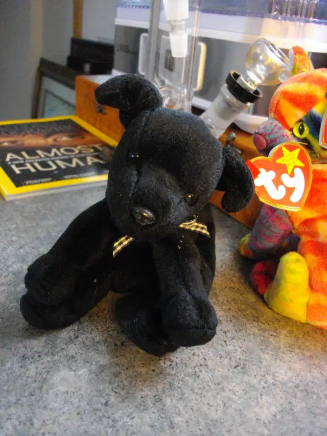 Beanie baby LUKE