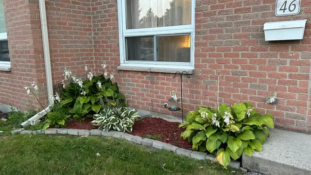 Student Rental - Room for Rent