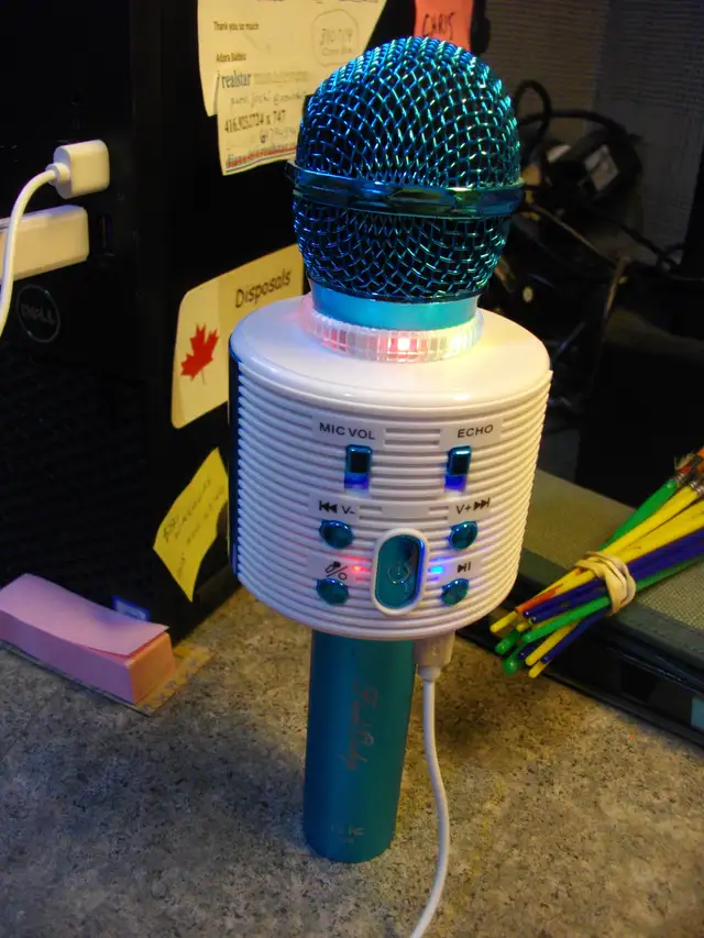 Feiyule Portable Karaoke Mike
