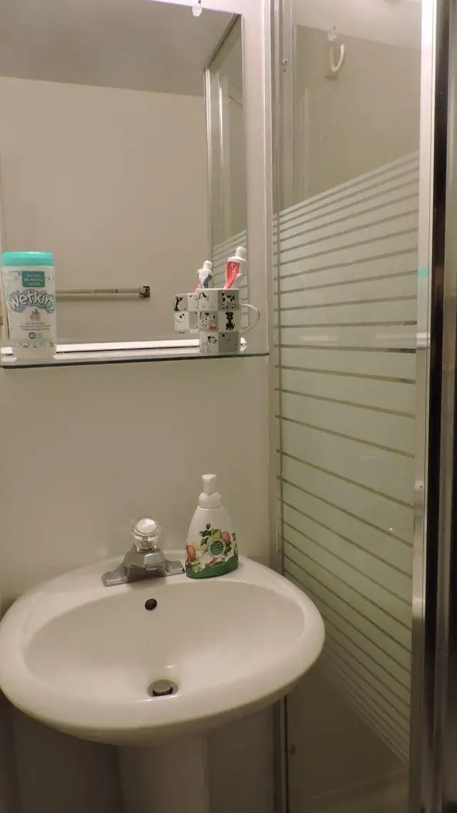 2-Bedroom Walk-Out Basement for Rent – Waterloo - Photo 7