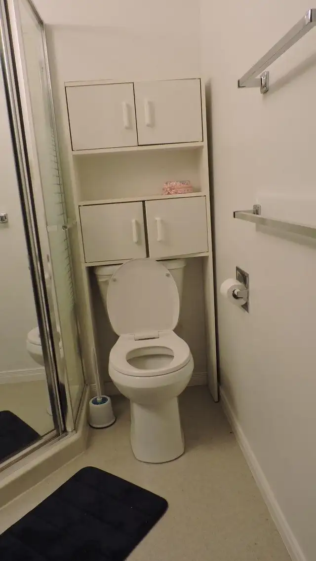 2-Bedroom Walk-Out Basement for Rent – Waterloo - Photo 8