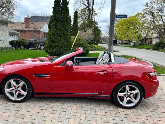 2015 SLK 350 AMG - Photo 5
