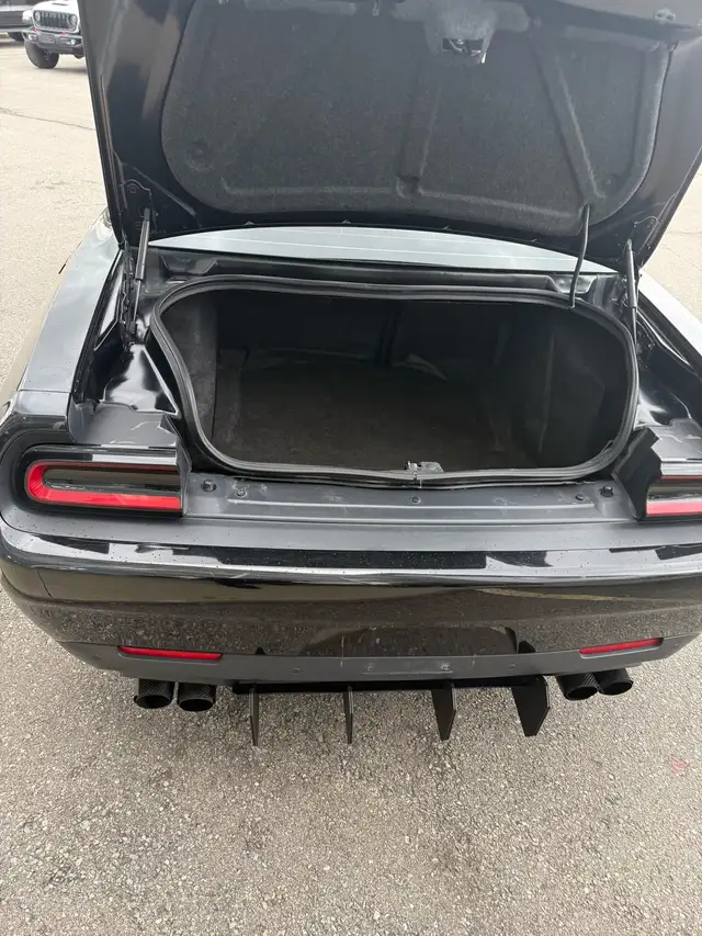 The Beast ( 2017 Dodge Challenger R/T Shaker ) - Photo 7