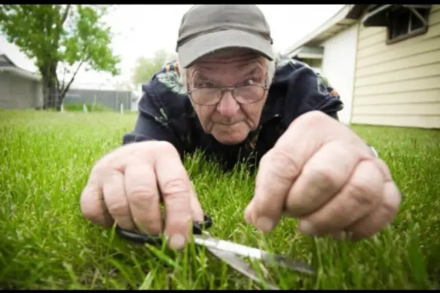 YARD MAINTENANCE