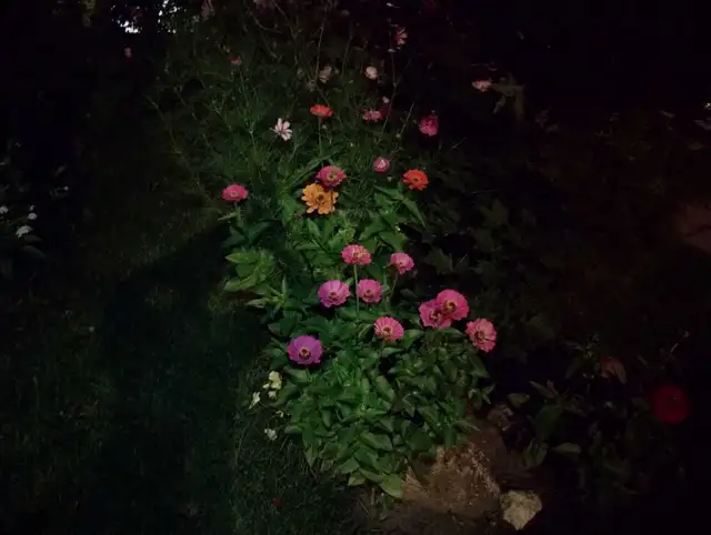 Aide au jardinage