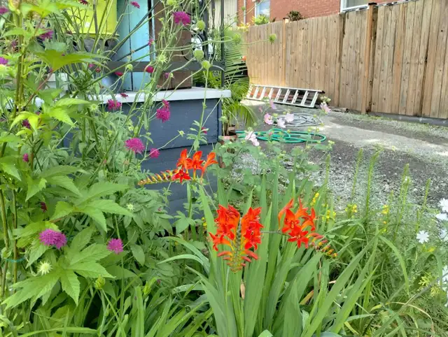 Aide au jardinage - Photo 2