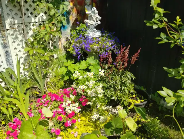 Aide au jardinage - Photo 3