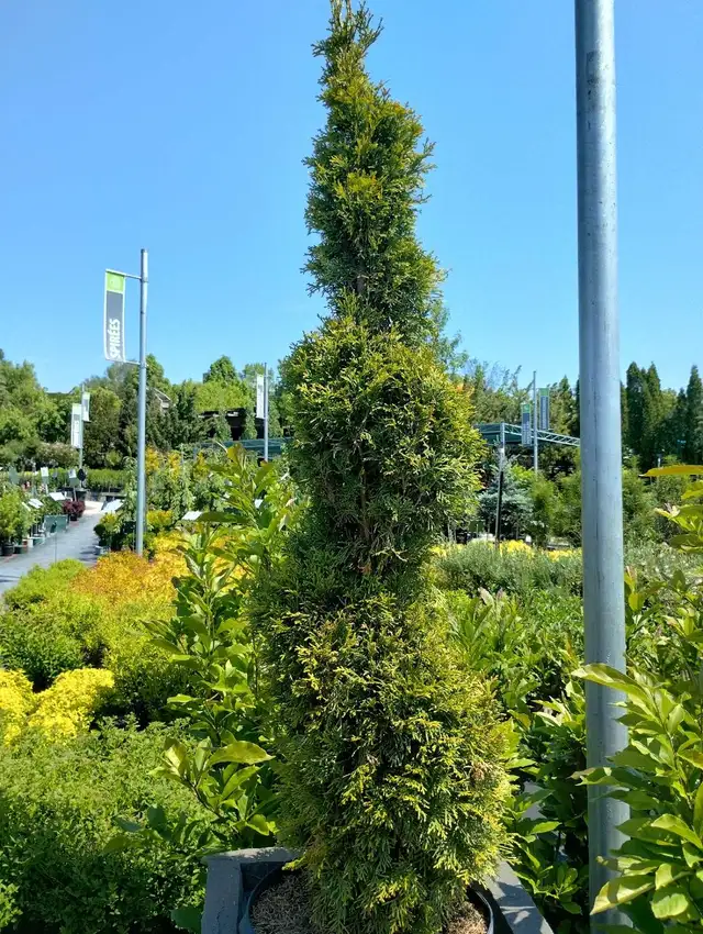 Aide au jardinage - Photo 4