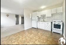 Renovated 2-Bedroom Apartment – Close to Downtown Burlington & G - Photo 8