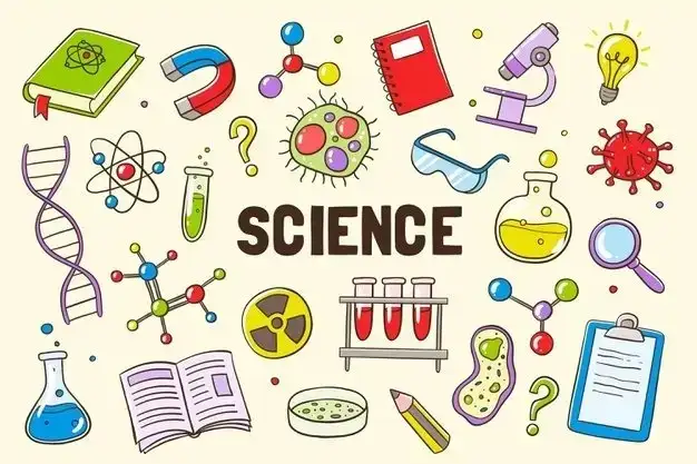 Cours et Tutorat Particuliers de Math Français et Sciences - Photo 4