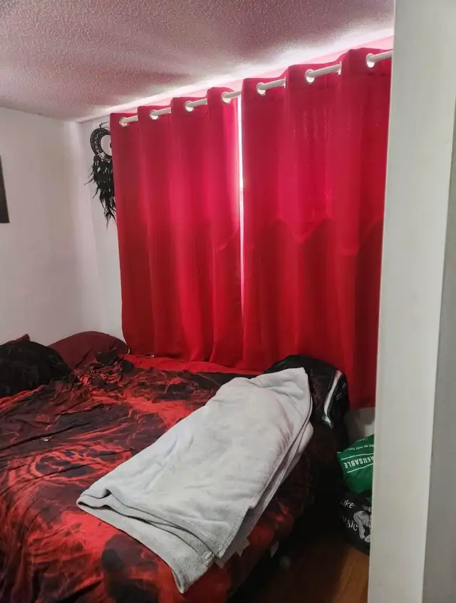 Private Reno bdrm in bsmt unit, bright, utilities included - Photo 3