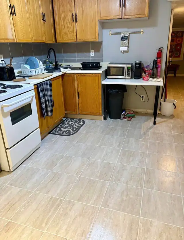 Private Reno bdrm in bsmt unit, bright, utilities included - Photo 4