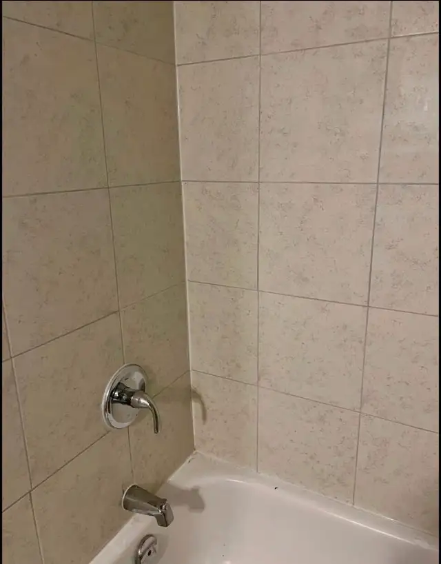 Private Reno bdrm in bsmt unit, bright, utilities included - Photo 5