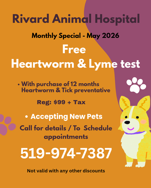 Free Heartworm and Lyme Test