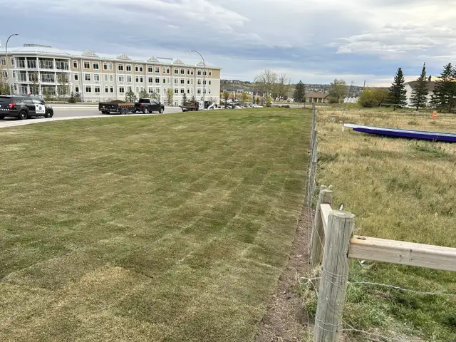Landscaping,Concrete, Fencing,Paving & Much More! - Photo 7