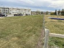 Landscaping,Concrete, Fencing,Paving & Much More! - Photo 7