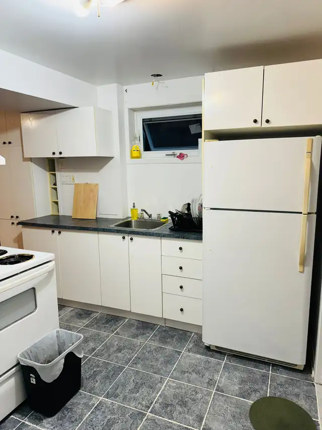 Room rental or 3/12 centre laval - Photo 3