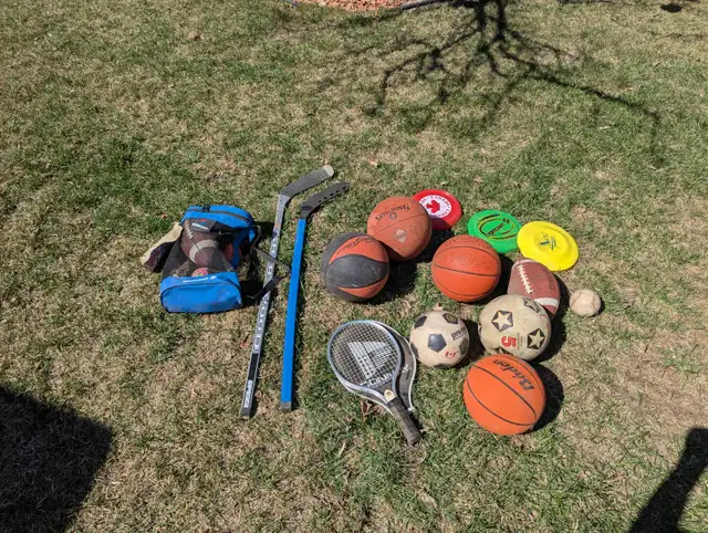 Assorted basket balls, footballs, hockey sticks, racquet etc.