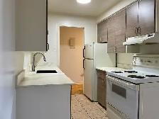 Appartement 3 ½ rénové à louer à Saint-Bruno - Photo 3