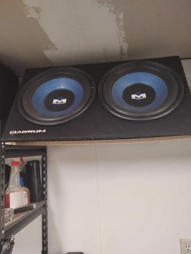 Magnum 12-in dual subwoofers