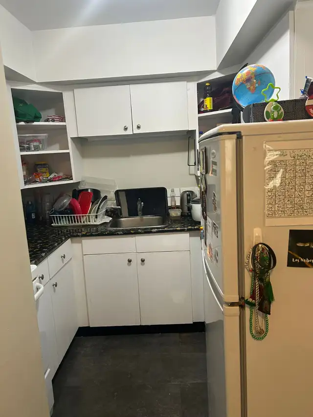 Din room - TMU students/ downtown residents - Photo 4