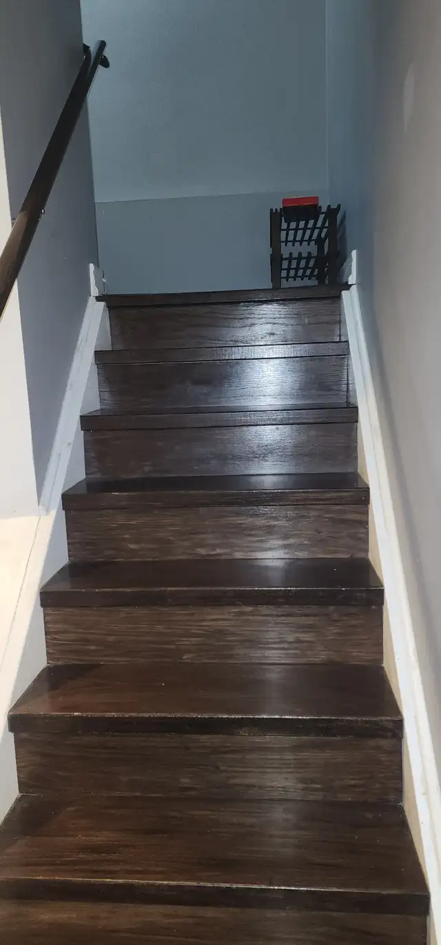 One Bedroom Basement - Photo 2