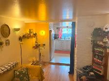 31/2 lower unit for rent