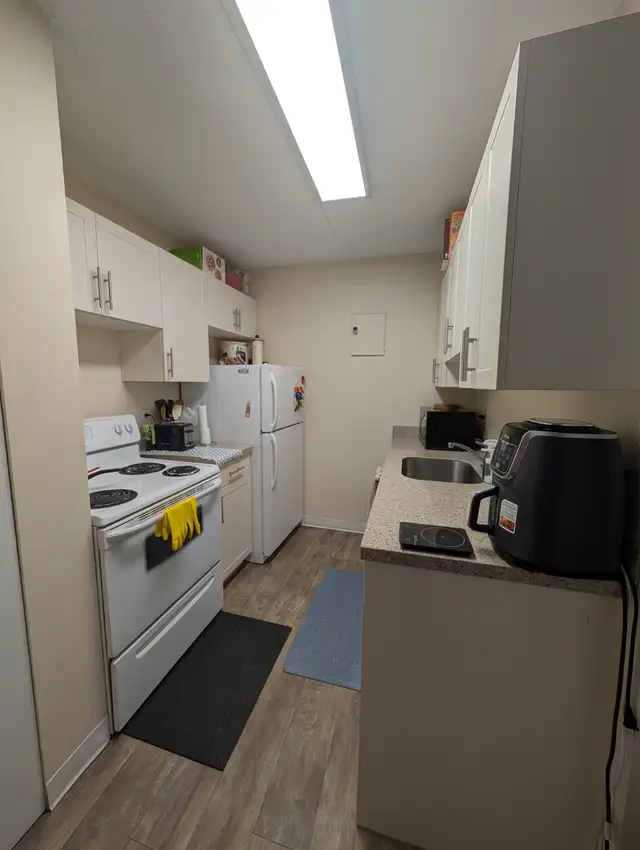 1 BR Apartment near UofM | Rent 1,299 | All Utilities Included - Photo 4