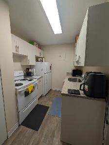 1 BR Apartment near UofM | Rent 1,299 | All Utilities Included - Photo 4