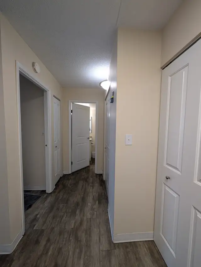 1 BR Apartment near UofM | Rent 1,299 | All Utilities Included - Photo 5