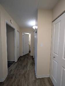 1 BR Apartment near UofM | Rent 1,299 | All Utilities Included - Photo 5