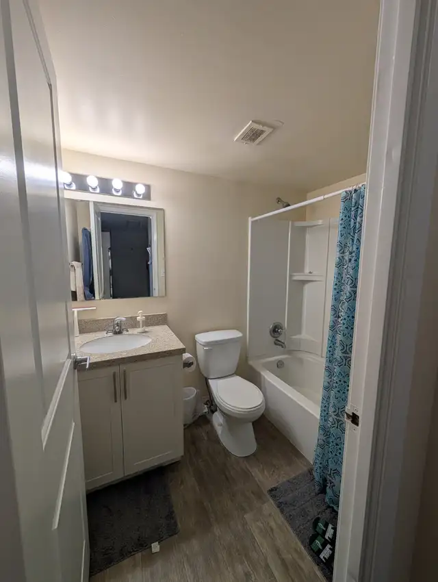 1 BR Apartment near UofM | Rent 1,299 | All Utilities Included - Photo 6