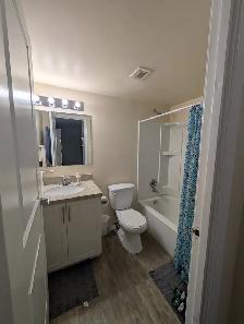 1 BR Apartment near UofM | Rent 1,299 | All Utilities Included - Photo 6