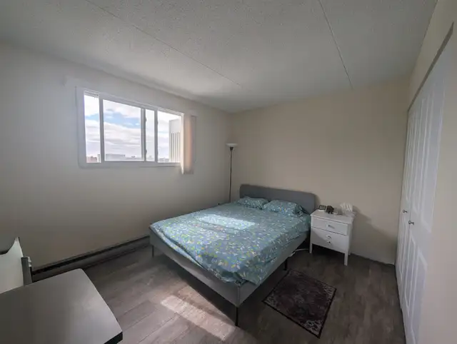 1 BR Apartment near UofM | Rent 1,299 | All Utilities Included - Photo 7