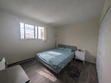 1 BR Apartment near UofM | Rent 1,299 | All Utilities Included - Photo 7