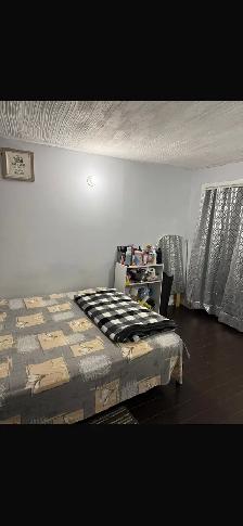 Private room for rent in a basement