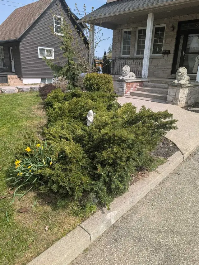 Offering Landscape Brantford