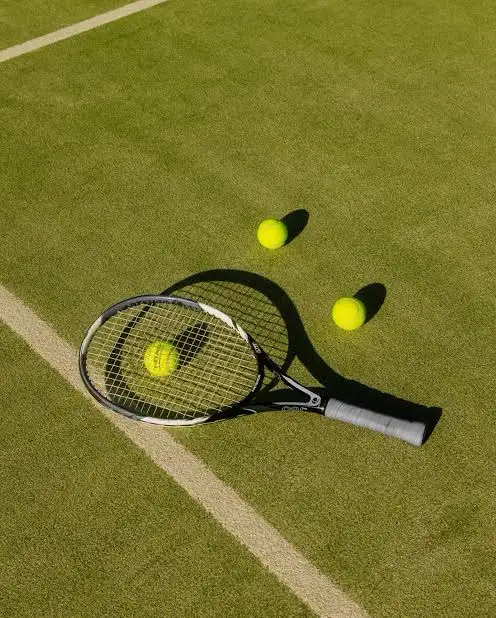 Tennis Hitting Partner