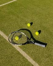 Tennis Hitting Partner
