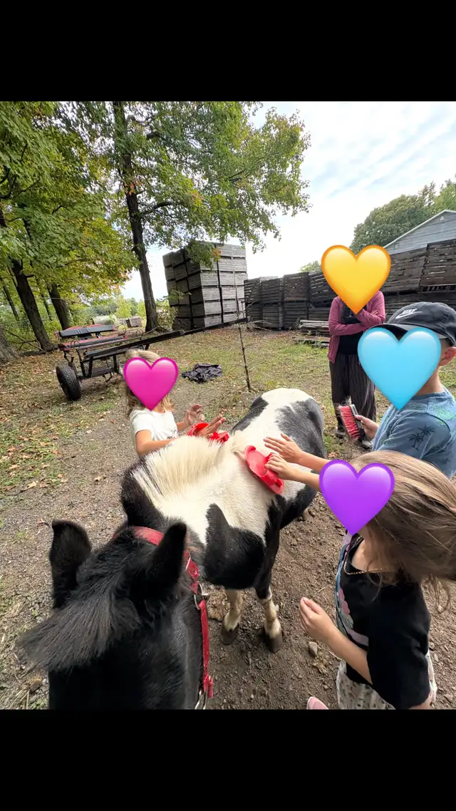 Poney 37 pouce - Photo 6