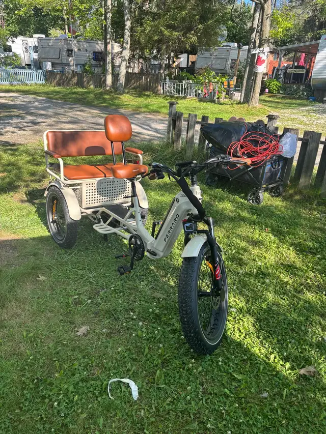 Ridex Perraro Passenger and Cargo ebike - Photo 2